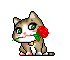 cat2